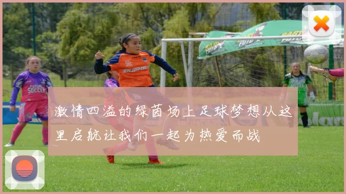 激情四溢的绿茵场上足球梦想从这里启航让我们一起为热爱而战